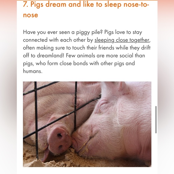 #4 LIKE LISTING #5 Comments Full - Picture 12 of 16